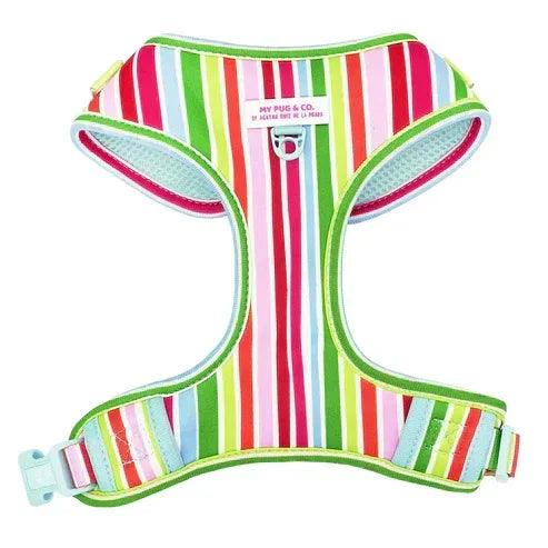 ARNES AJUSTABLE ARCOIRIS